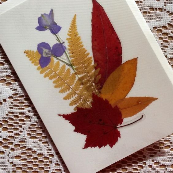 Осенний гербарий рисунок (49 фото)