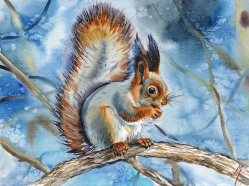 Белка зимой акварель