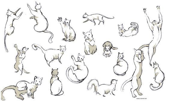 Референс кошек вид сбоку