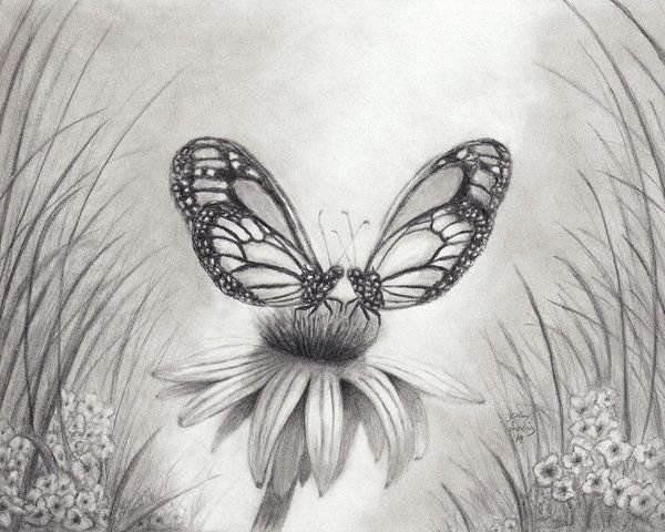 Иллюстрация к стихотворению Фета бабочка