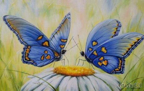 Иллюстрация к стихотворению бабочка