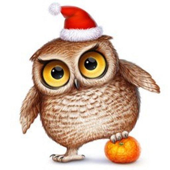 Новогодняя Сова