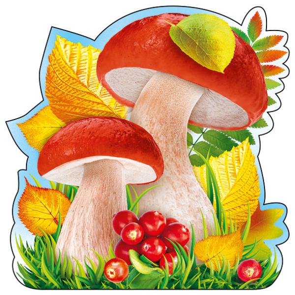 Грибы для детского сада