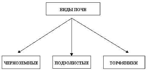 Как человек использует почву