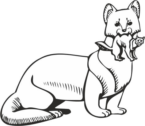 Иркутский Бабр рисунок