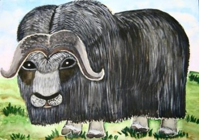 Овцебык мульт