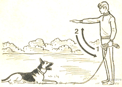 Дрессировщик собак нарисовать