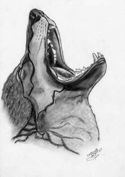 Зубы сбоку референс