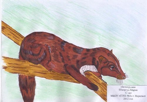 Астафьев Виктор "Белогрудка"