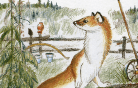 Астафьев Виктор "Белогрудка"