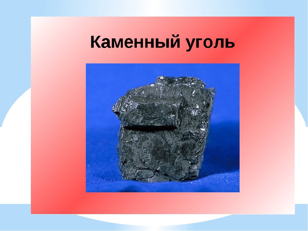 Каменный уголь биология. Каменный уголь. Полезные ископаемые. Каменный уголь информация. Полезные ископаемые уголь.