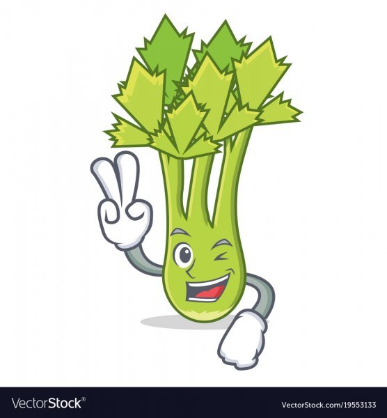 Сельдерей вектор