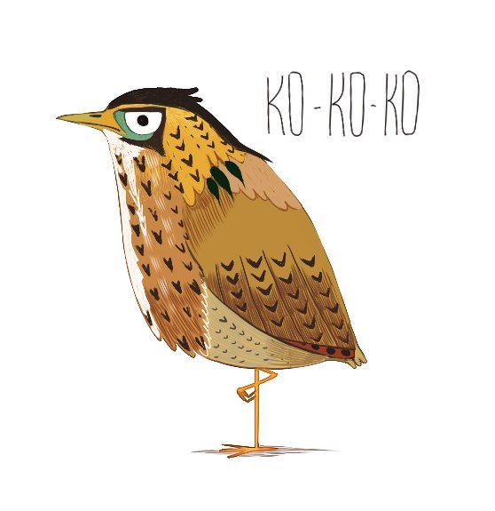 Выпь раскраска для детей