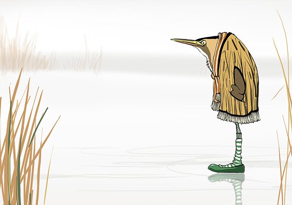 Южноамериканская выпь