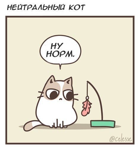 Нейтральный кот