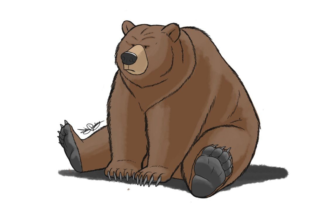 Рисунок медведя мультяшный