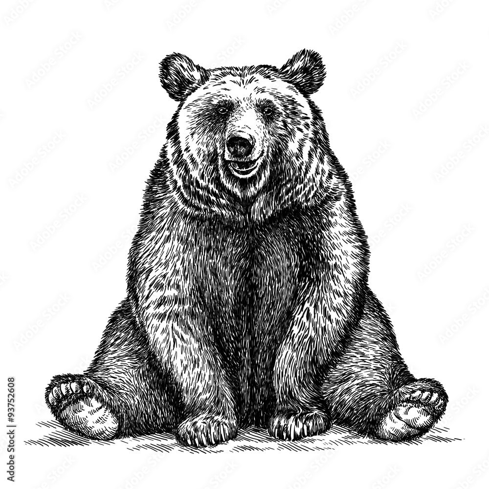 Рисунки медведь для Гравюр