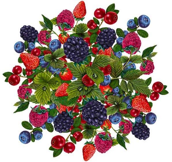 Лесные ягоды