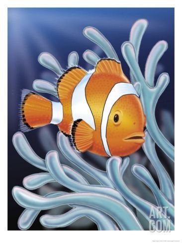 Рыба клоун для рисования