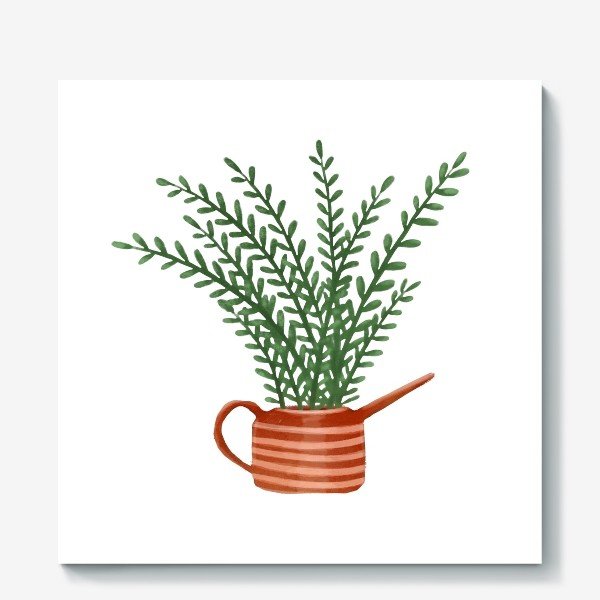 Замиокулькас раскраска