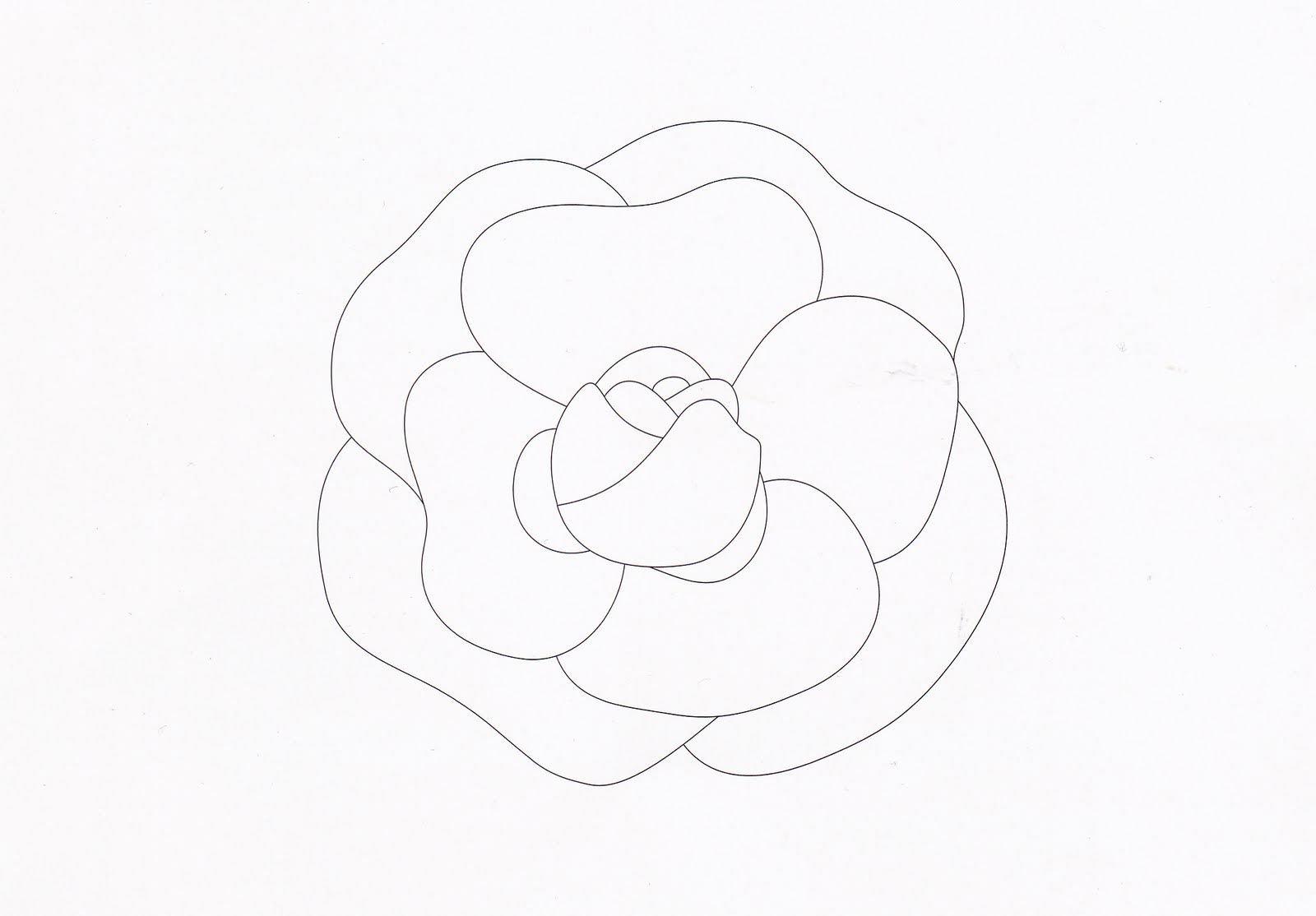 Эскиз цветок Камелия