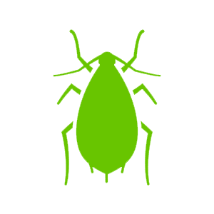 Тля для детей