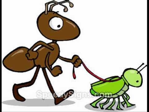 Раскраска антистресс Божья коровка