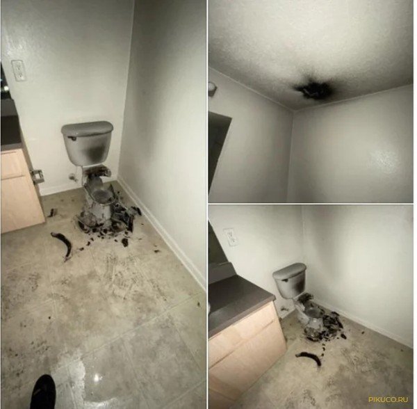 Cursed Emoji милые