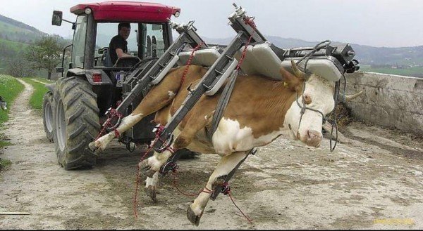 Проклятая печать Саске