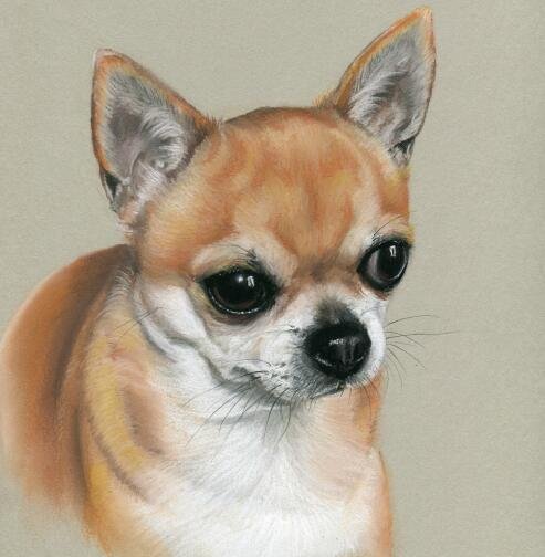 Живопись чихуа Хуа