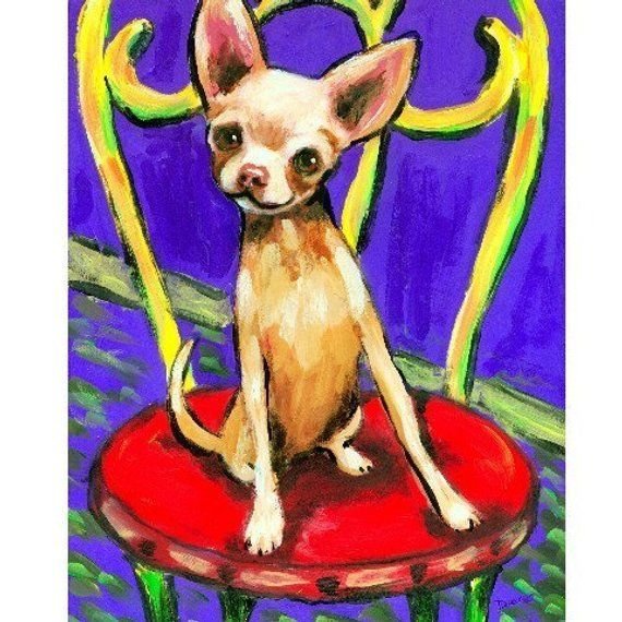 Чихуа хуа рисунок (47 фото)