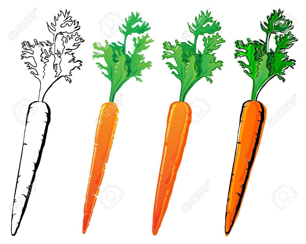 Рисунок морковки с ботвой