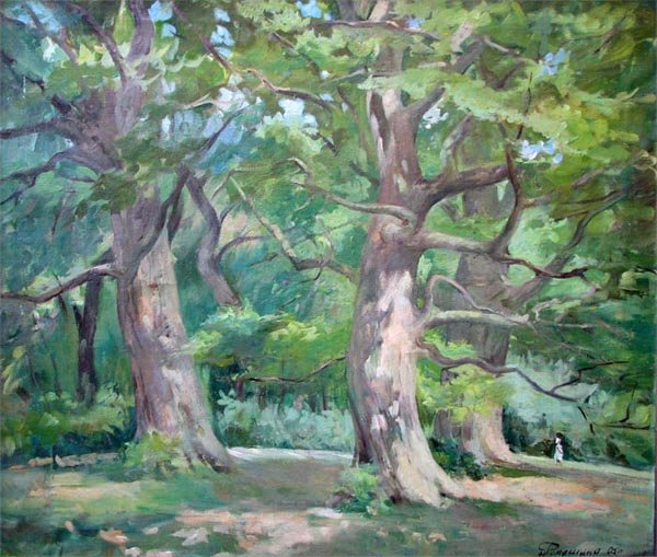 Платан рисунок дерева