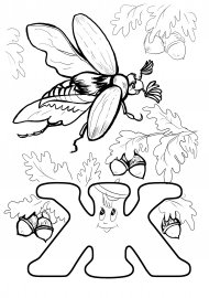 Раскраска буква ж для дошкольников