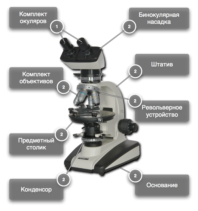 Состав цифрового микроскопа