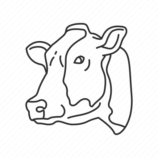 Мясо говядина раскраска