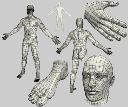 Модель человека фотографиям. Компьютерная модель человека. Цифровая модель человека. Объемная модель человека. Трехмерная Графика в науке.