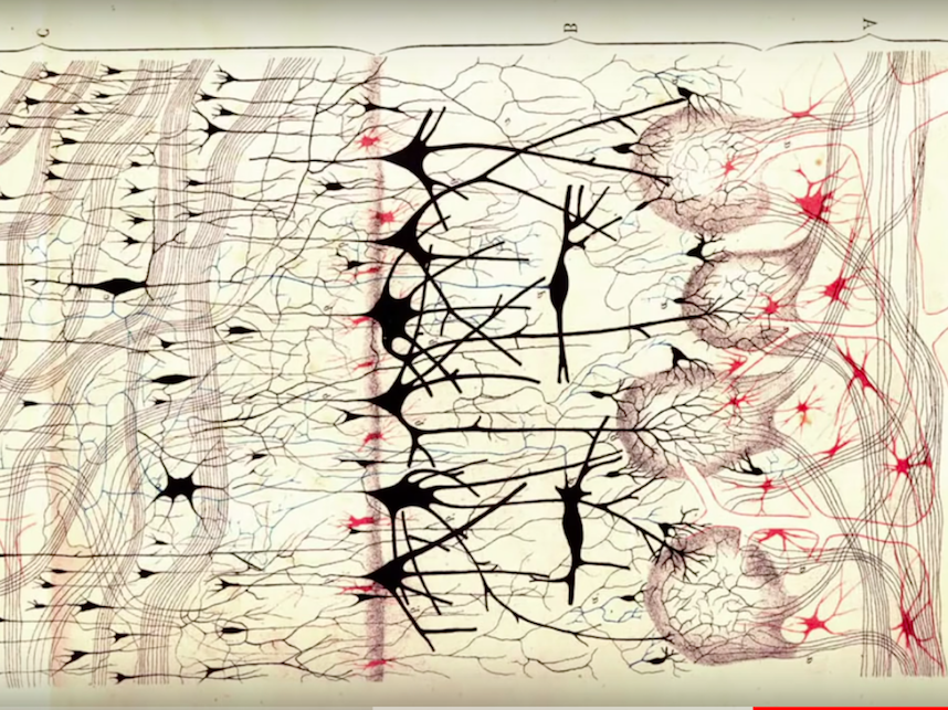 Нейросеть maxtext ru. Мозг нейросеть. Нейронные сети искусственный интеллект. Схема нейросети. Нейросети по рисованию картинок.