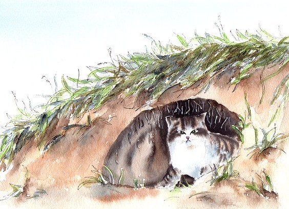 Рисунок к рассказу Бориса Житкова Беспризорная кошка