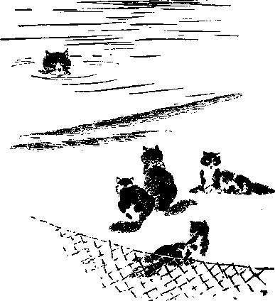 Беспризорная кошка рисунок (47 фото)