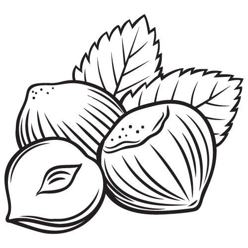 Орехи для дошкольников