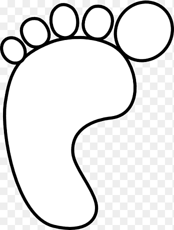 Правая стопа контур