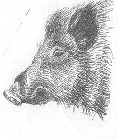 Шерсть животных туториал