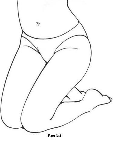 Женские ягодицы