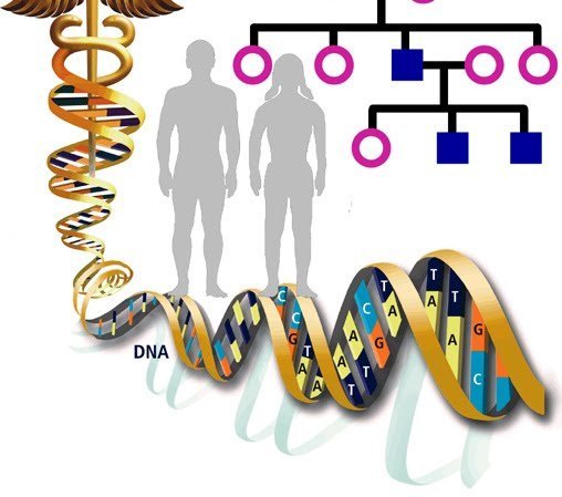 Генетика картинки