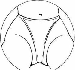 Женские попы крупным планом