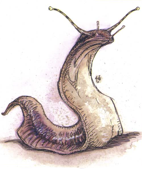 Нарисовать слизня