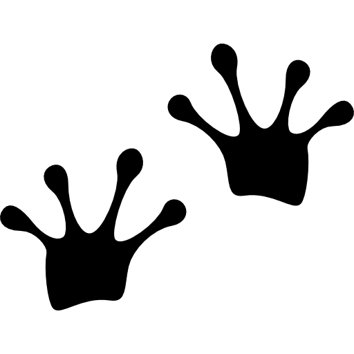 Лягушачья лапка трафарет