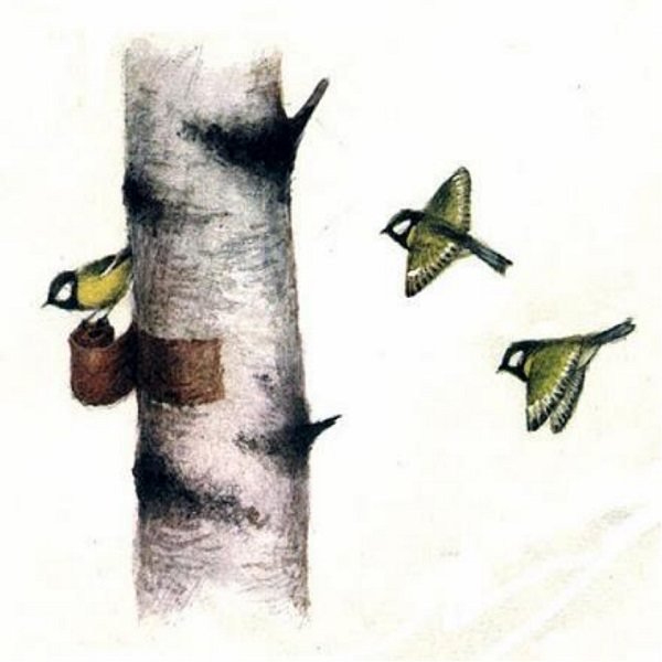 Бревшин Берестная дудочка