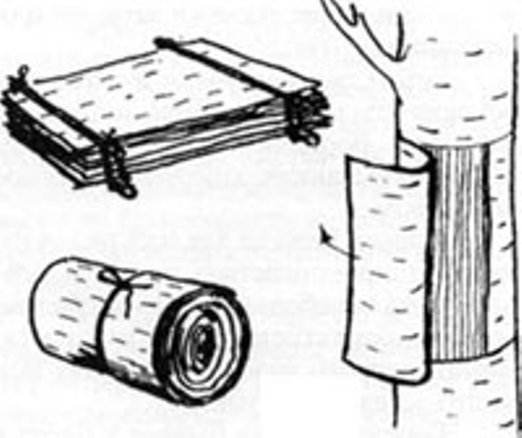 М пришвин берестяная трубочка